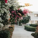 Apartment Elegance C8 Rooftop Spa&gym Mountain&seeview